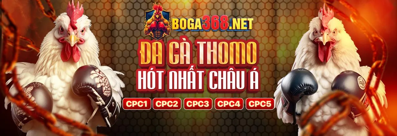 Công cụ hỗ trợ đại lý xs9988